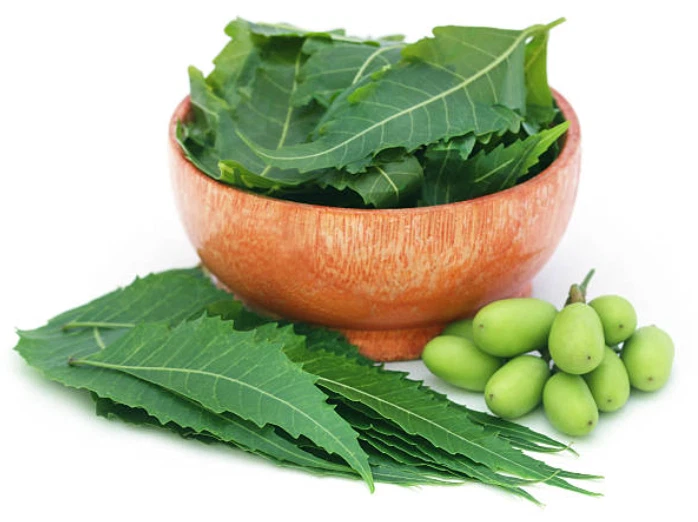 Neem Chaal Powder pack of 2